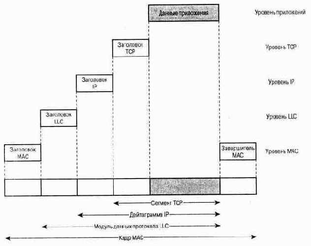  IEEE 802  